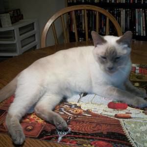 Meet your Posher, Laura